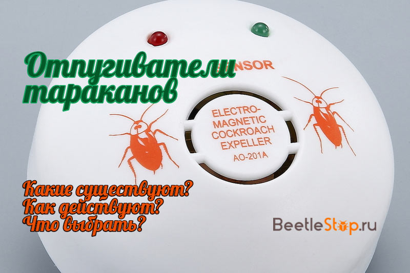 Insect repeller